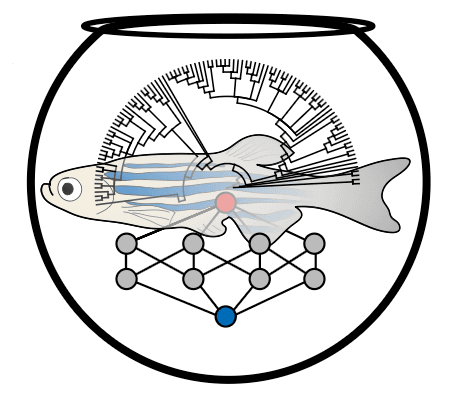 RNAquarium